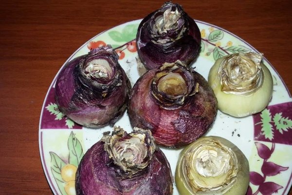 Кракен ссылка 25